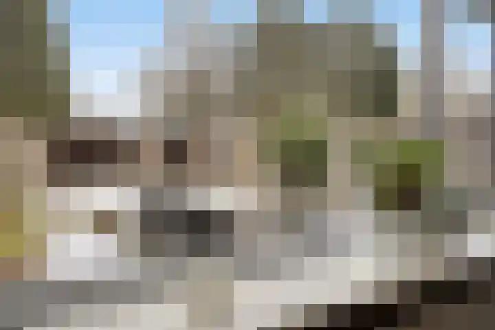 Laan van de Marel 152 Emmen thumbnail 19