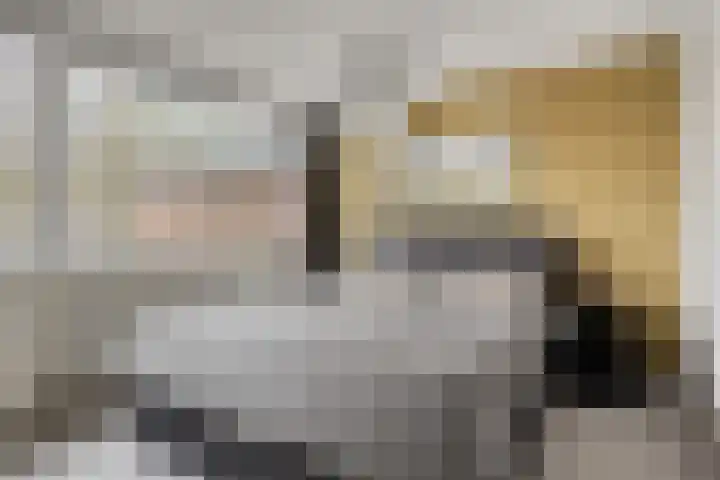 Laan van de Marel 152 Emmen thumbnail 22