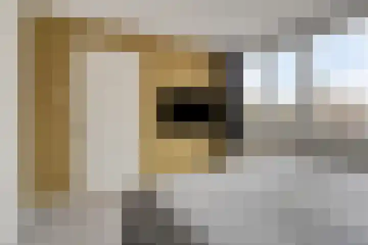 Laan van de Marel 152 Emmen thumbnail 23