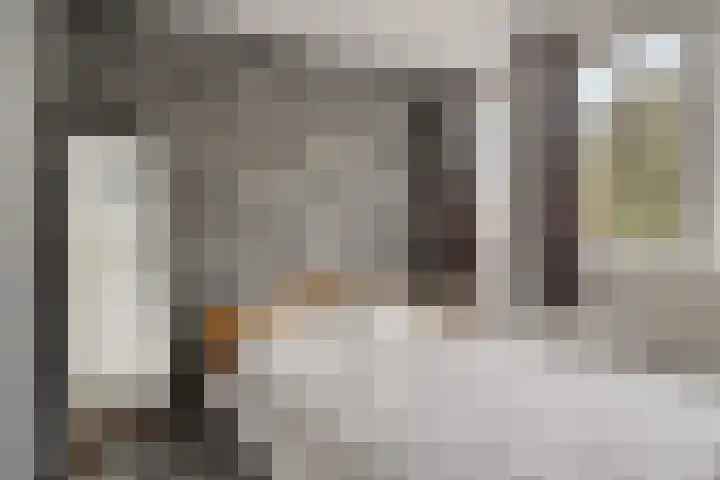 Laan van de Marel 152 Emmen thumbnail 25