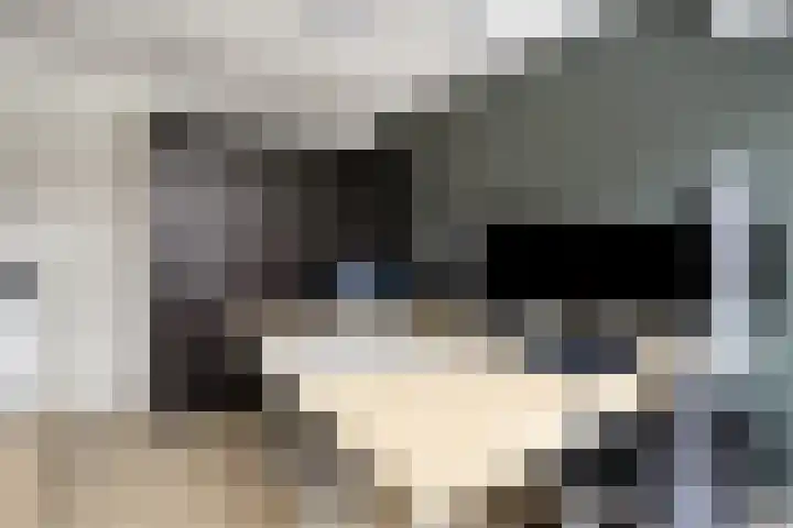 Laan van de Marel 152 Emmen thumbnail 28