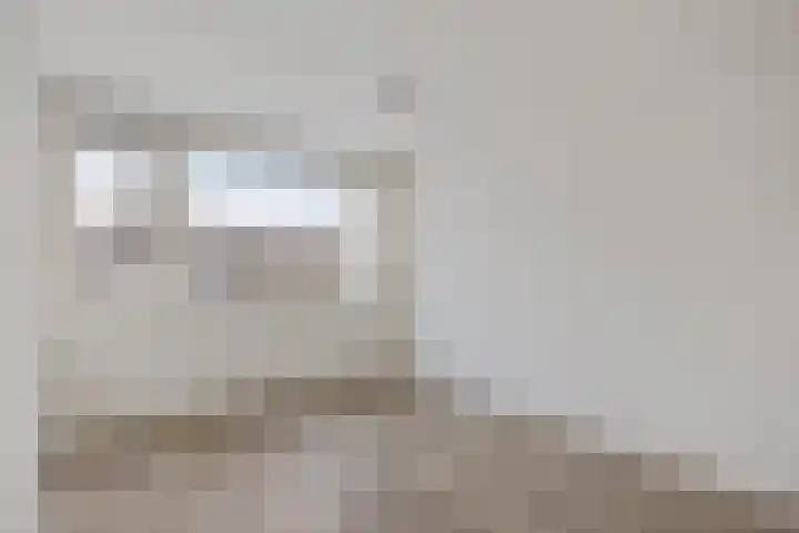 Laan van de Marel 343 Emmen thumbnail 15