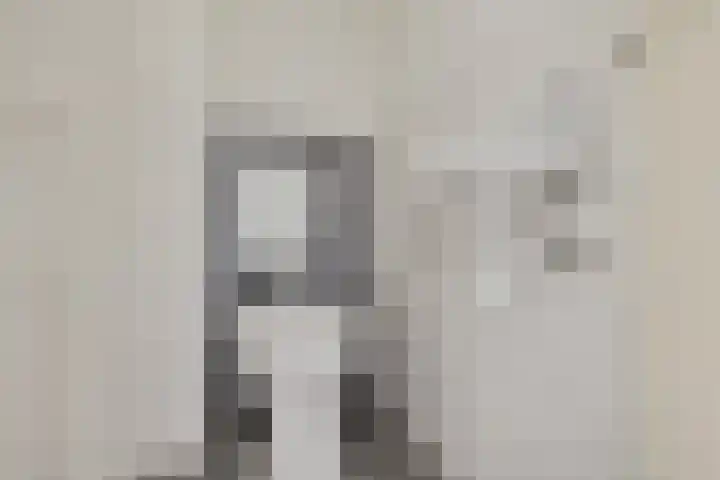 Laan van de Marel 343 Emmen thumbnail 9