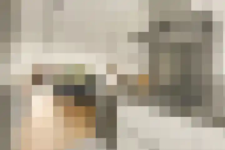 Laan van Delfland 11 Monster thumbnail 14