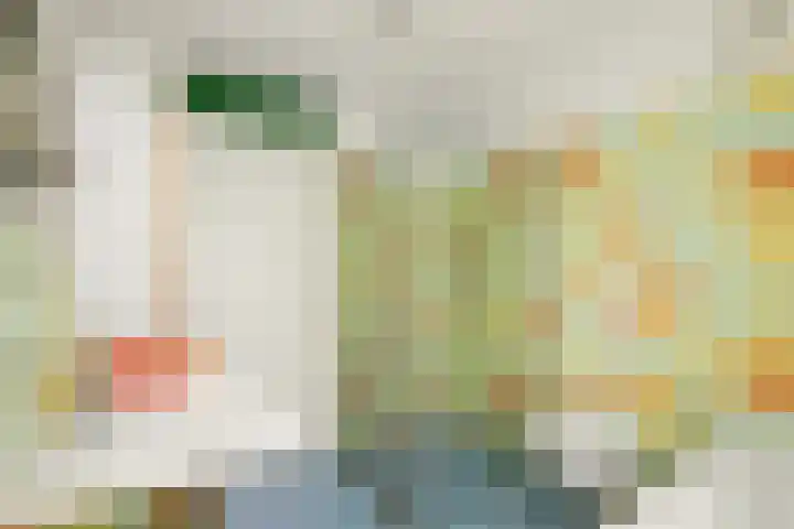 Laan van Delfland 11 Monster thumbnail 23