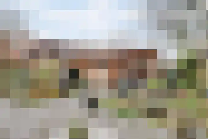 Laan van Delfland 11 Monster foto 3