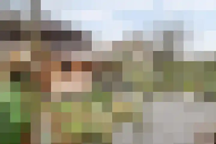 Laan van Delfland 11 Monster thumbnail 31