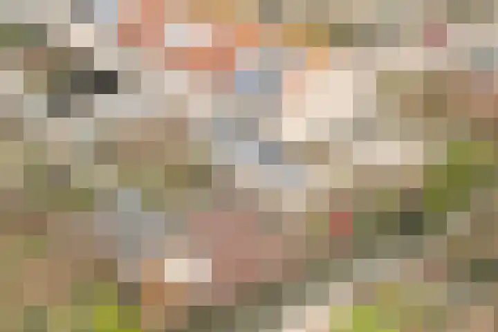 Laan van Delfland 11 Monster thumbnail 40