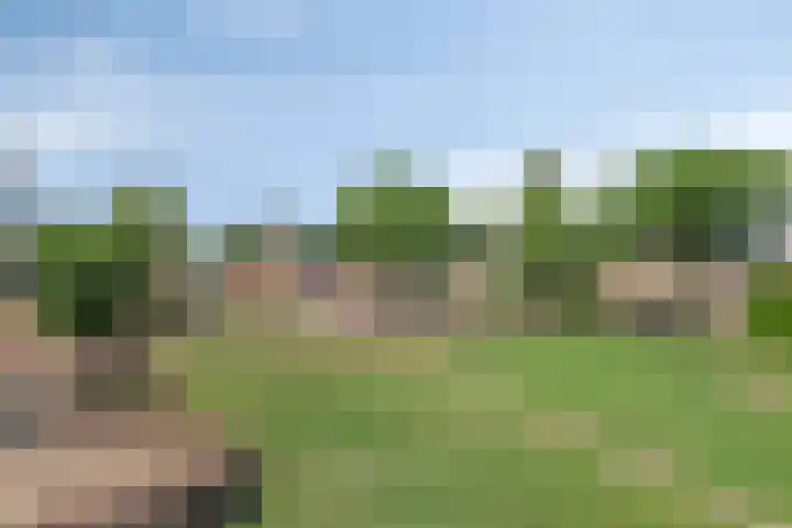 Laan van Echternach 34 Alphen thumbnail 33