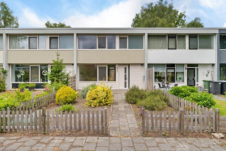 Laan van het Kinholt 505 in Emmen foto