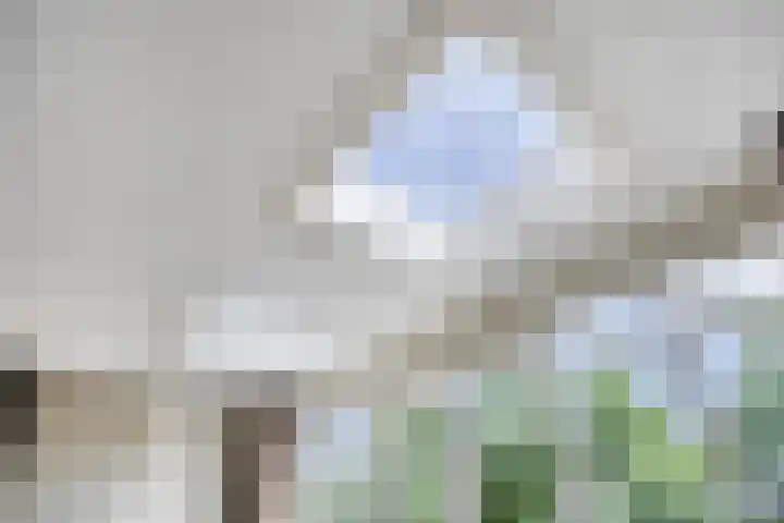 Laan van Klapwijk 23 Pijnacker thumbnail 12
