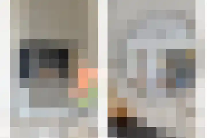 Laan van Klapwijk 23 Pijnacker thumbnail 14