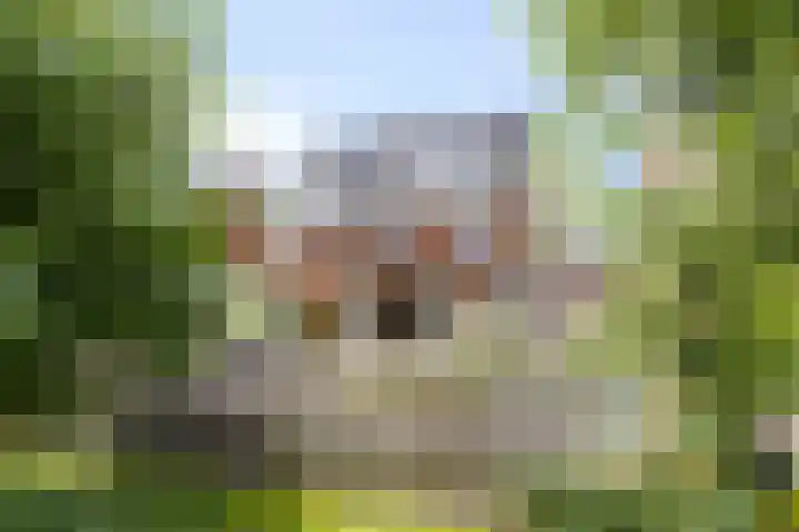 Laan van Klapwijk 23 Pijnacker foto 2