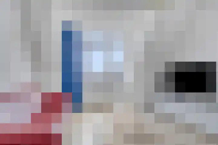 Laan van Klapwijk 23 Pijnacker thumbnail 30