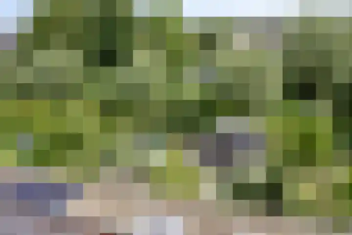 Laan van Klapwijk 23 Pijnacker thumbnail 34