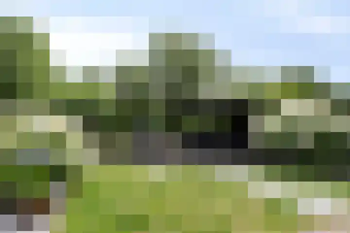Laan van Klapwijk 23 Pijnacker thumbnail 35