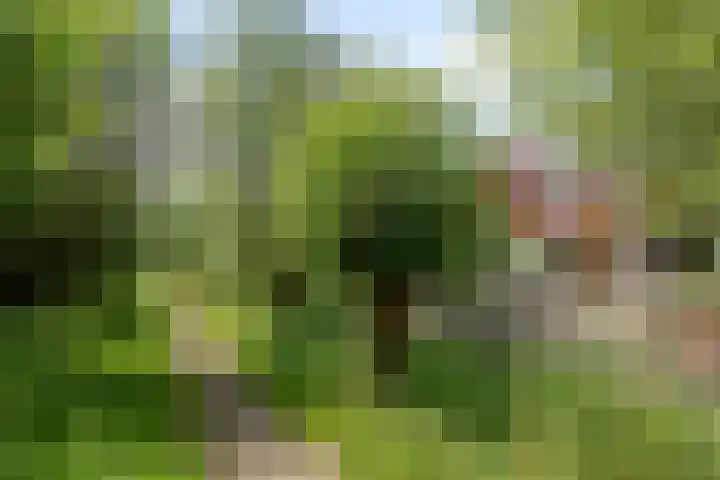 Laan van Klapwijk 23 Pijnacker thumbnail 39