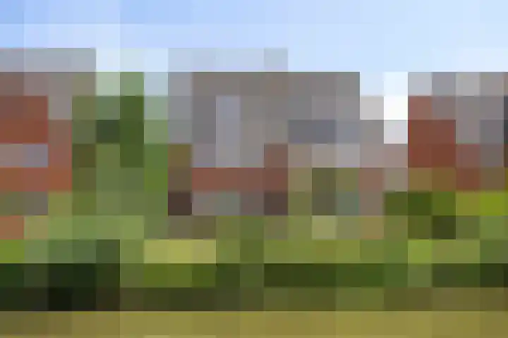 Laan van Klapwijk 23 Pijnacker thumbnail 6