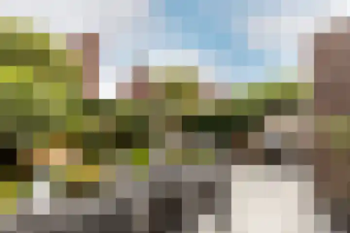 Laan van Oceanië 36 Drunen thumbnail 26
