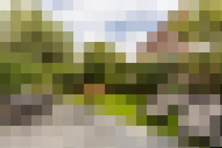 Laan van Oceanië 36 Drunen thumbnail 28