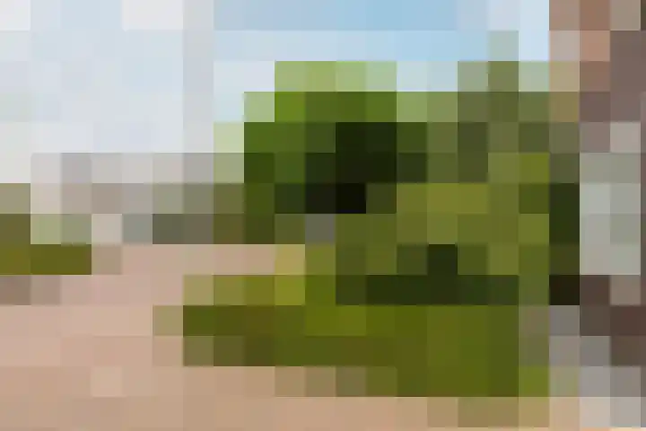 Laan van Oceanië 36 Drunen thumbnail 35