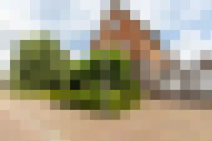 Laan van Oceanië 36 Drunen thumbnail 37