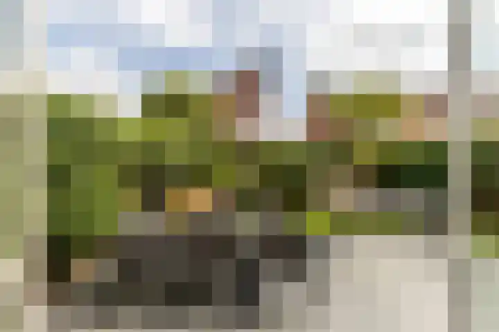 Laan van Oceanië 36 Drunen thumbnail 4