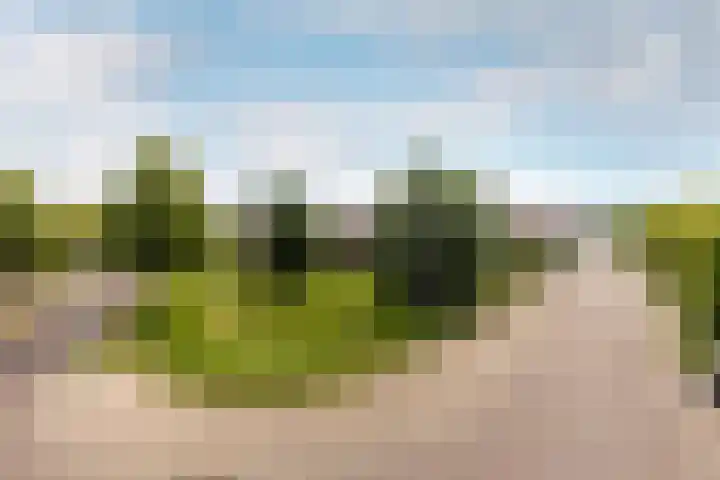 Laan van Oceanië 36 Drunen thumbnail 40