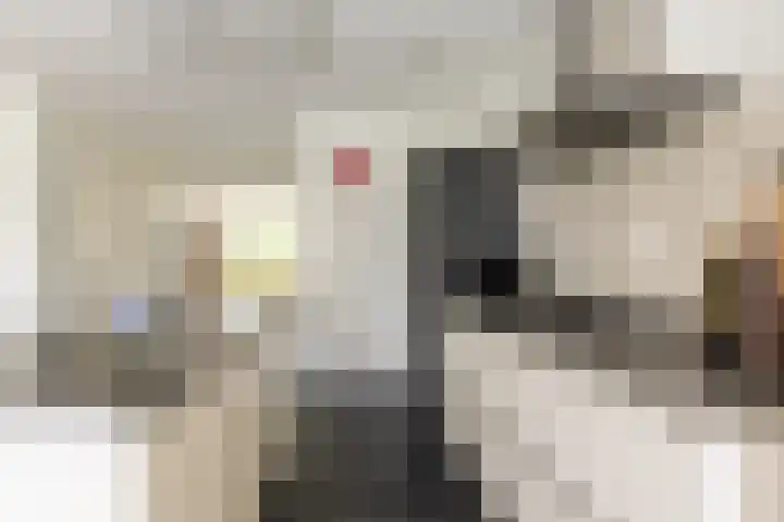 Laan van Oceanië 36 Drunen thumbnail 6