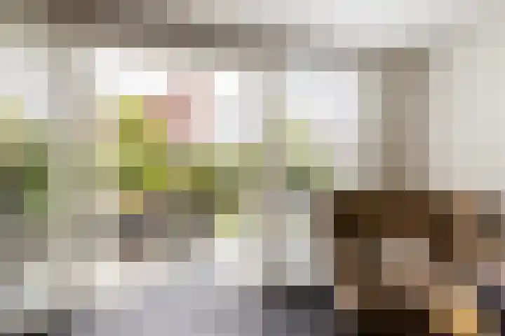 Laan van Oceanië 36 Drunen thumbnail 9