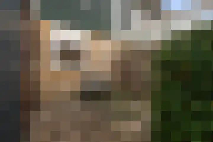 Laan van Rome 59 Alkmaar thumbnail 25