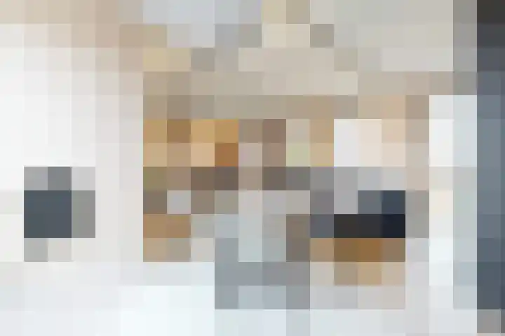 Laan van Sofia 58 Utrecht thumbnail 15