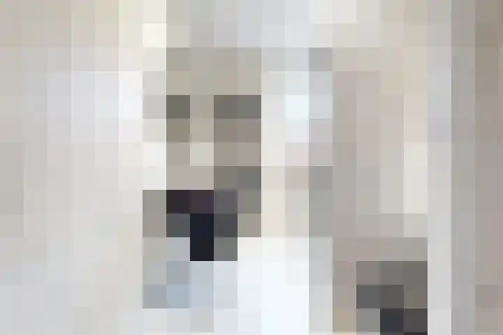 Laan van Sofia 58 Utrecht thumbnail 23