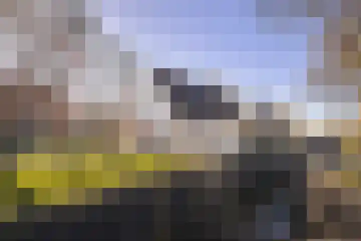 Laan van Sofia 58 Utrecht thumbnail 32