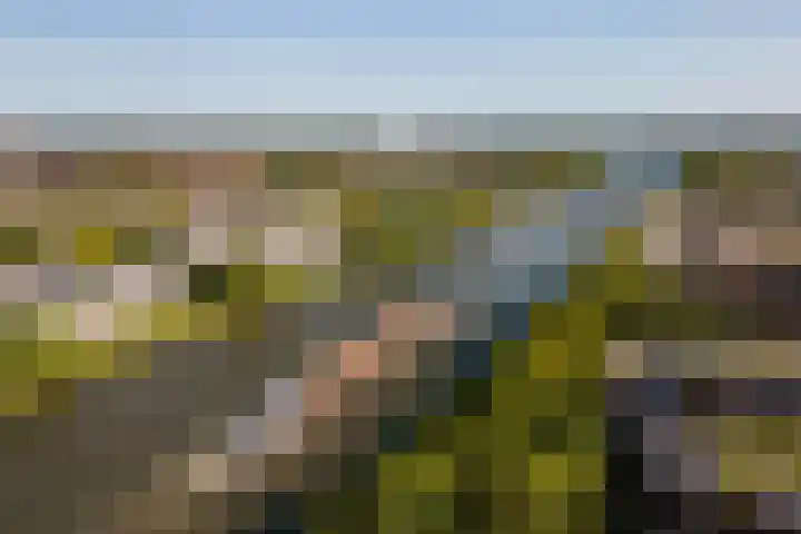 Laan van Sofia 58 Utrecht thumbnail 36