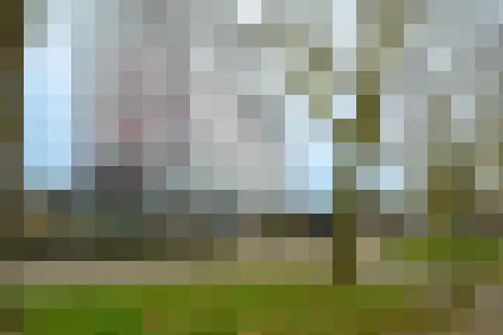 Laan van Vollenhove 300 en Zeist