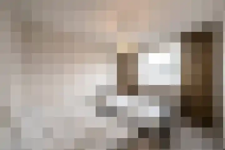 Laanderhof 31 Berghem thumbnail 15