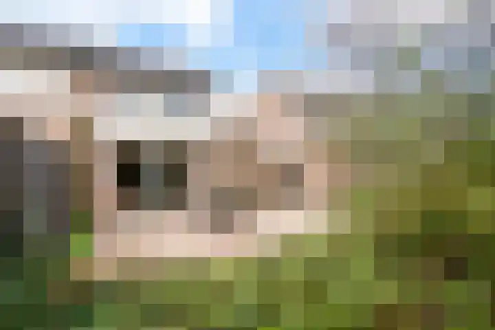 Laanderhof 31 Berghem thumbnail 17