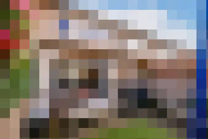 Laanderhof 78 Berghem thumbnail 21