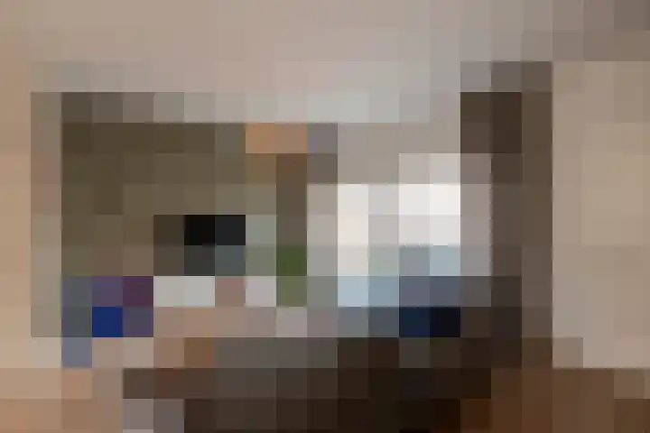 Laanderhof 94 Berghem thumbnail 9