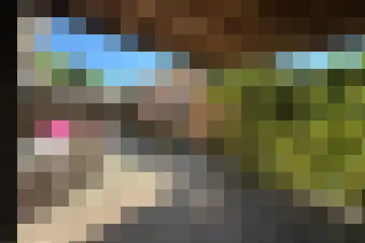 Laanzicht 10 Woudenberg thumbnail 30
