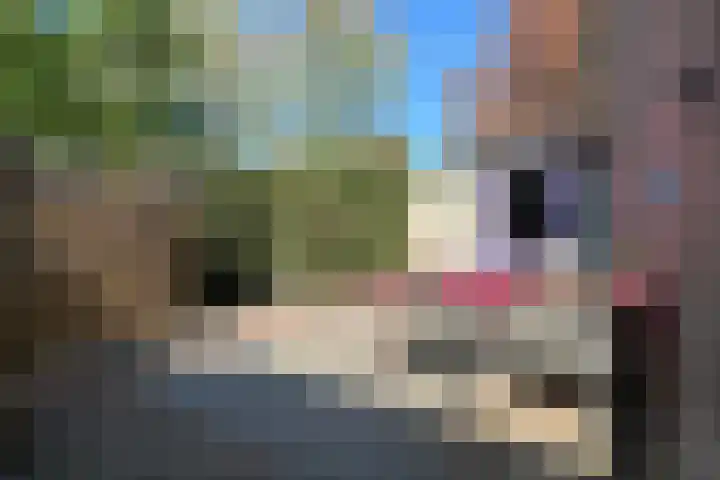 Laanzicht 10 Woudenberg thumbnail 31