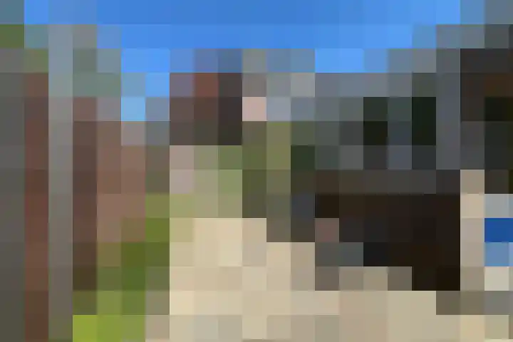 Laanzicht 10 Woudenberg thumbnail 37