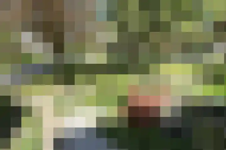 Laanzicht 10 Woudenberg thumbnail 38