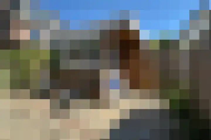 Laanzicht 10 Woudenberg thumbnail 4