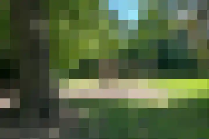 Laanzicht 10 Woudenberg thumbnail 40