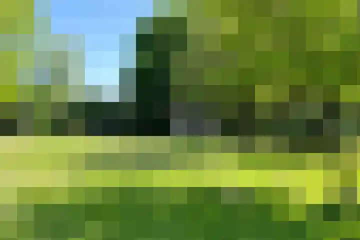 Laanzicht 10 Woudenberg thumbnail 41
