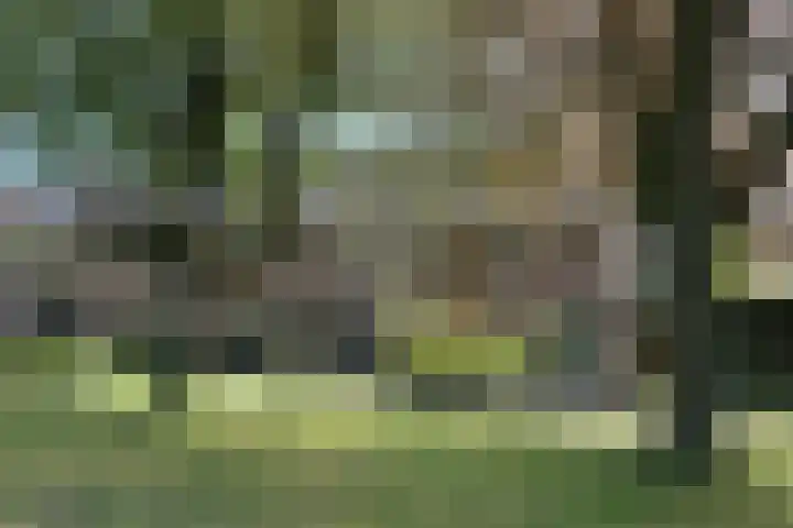 Laanzicht 10 Woudenberg thumbnail 42