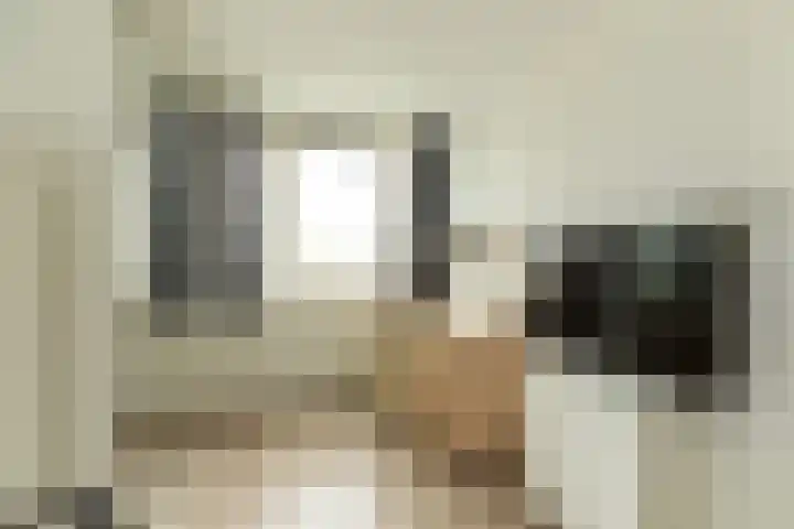 Laapersboog 4 Hilversum thumbnail 16
