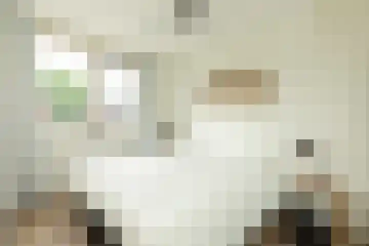 Laapersboog 4 Hilversum thumbnail 20